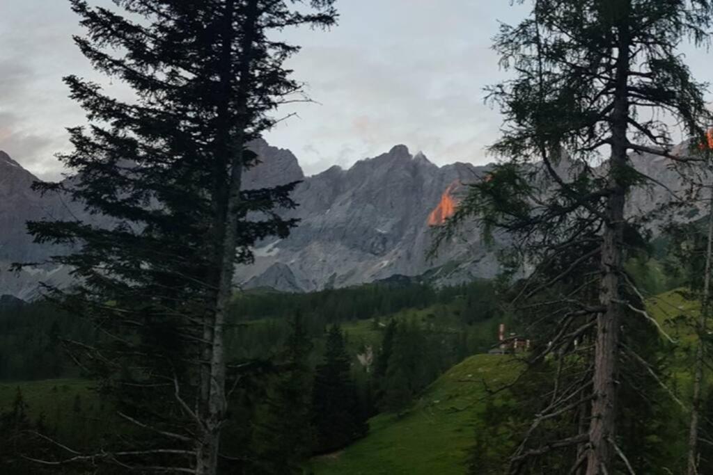 Apartment Tauernblick Ramsau am Dachstein Eksteriør billede