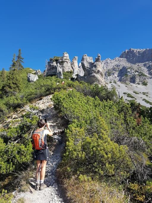 Apartment Tauernblick Ramsau am Dachstein Eksteriør billede